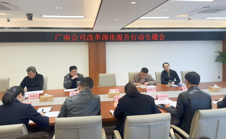 廣南公司召開改革深化提升行動(dòng)專題會(huì).png