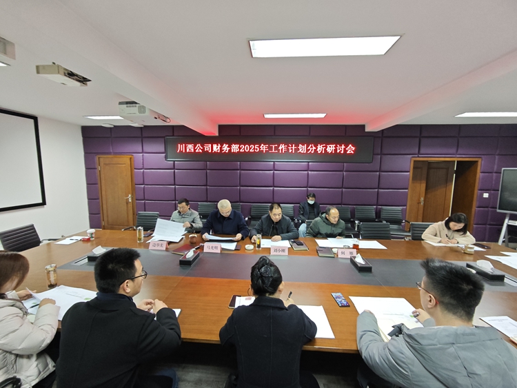 20250107川西公司召開財(cái)務(wù)預(yù)算執(zhí)行及經(jīng)營分析會_副本.jpg