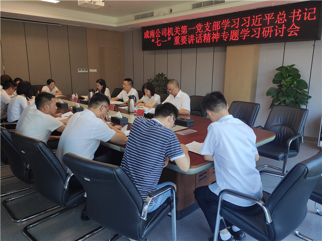 no398-成南公司機關第一黨支部召開學習貫徹習近平總書記“七一”重要講話精神專題研討會.jpg