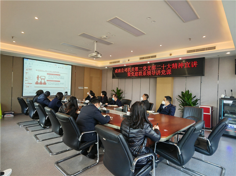 no594-成南公司第二黨支部召開二十大精神宣講會暨黨建聯系領導講黨課.jpg